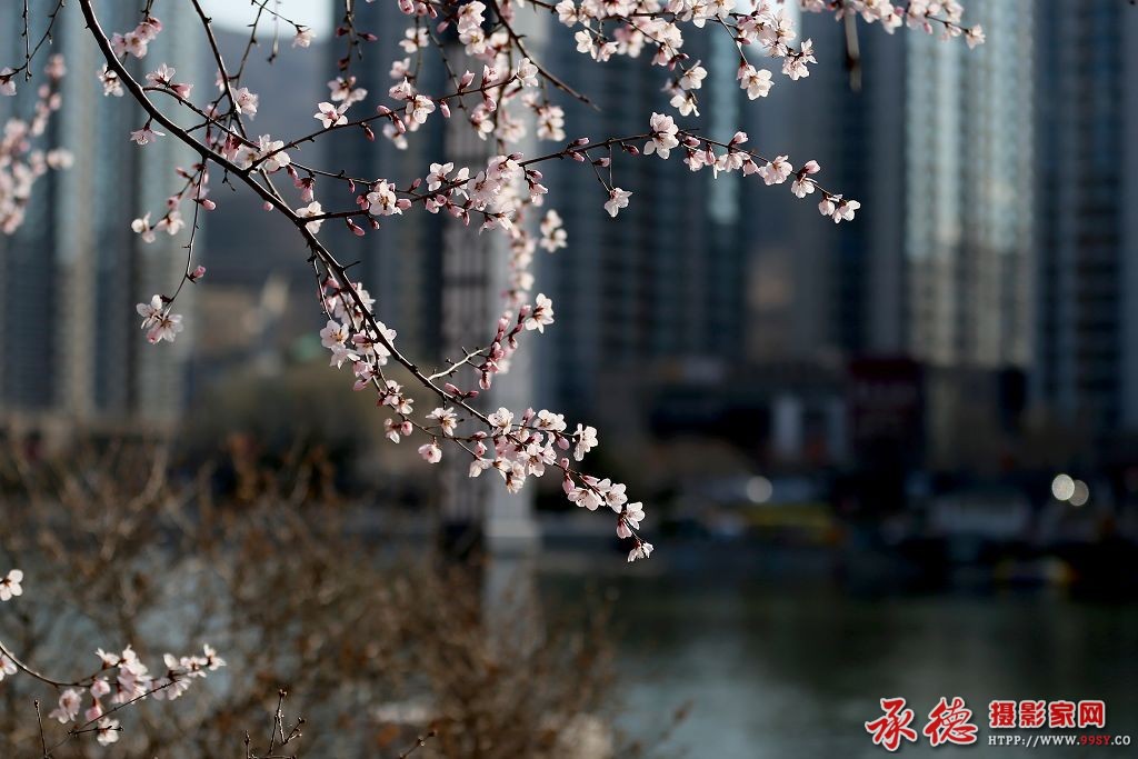 221225oltsixuwhsoi1ncp.jpg