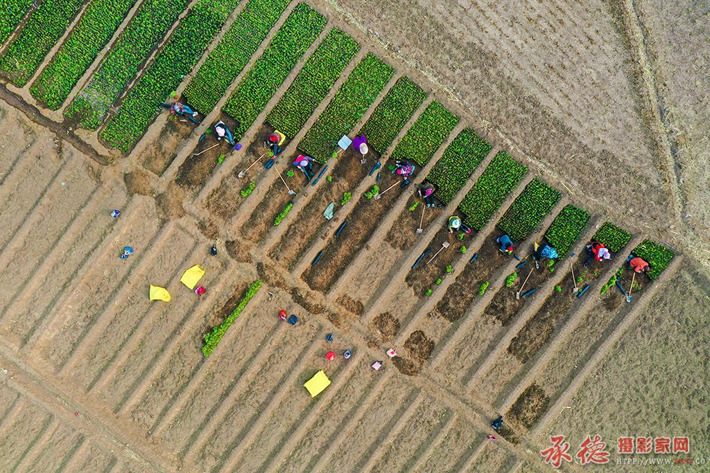 DJI_0978d.jpg