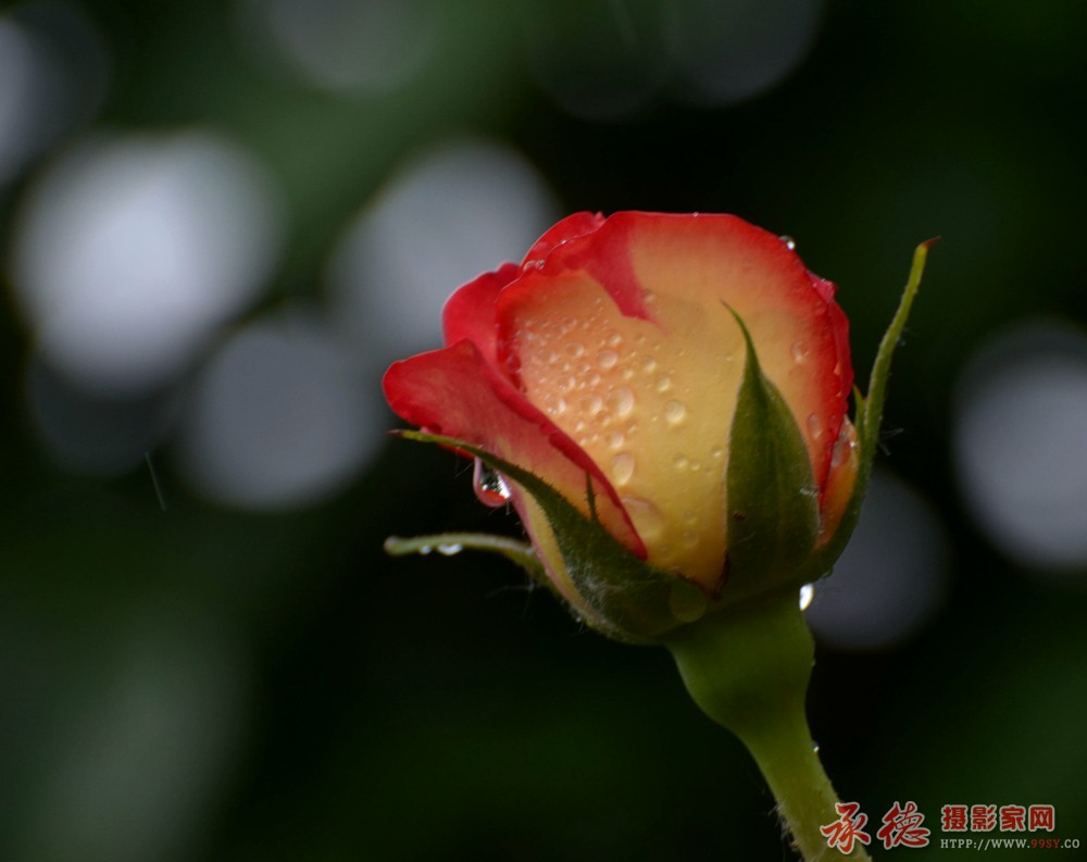 DSC_0207_看图王.jpg