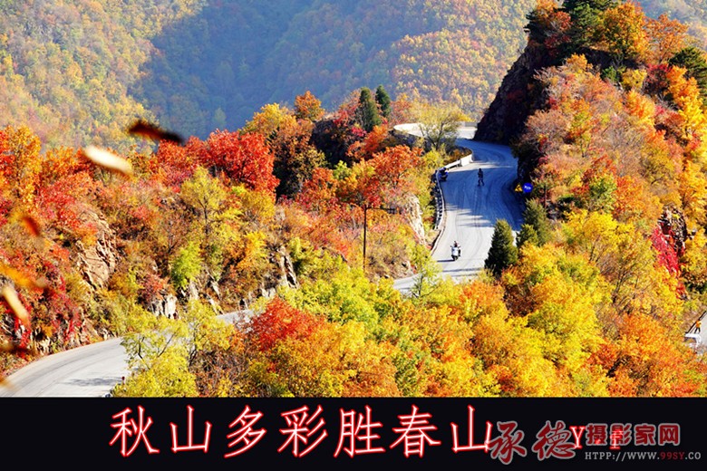 DSC00805_副本.jpg55_秋山_副本.jpg小图.jpg