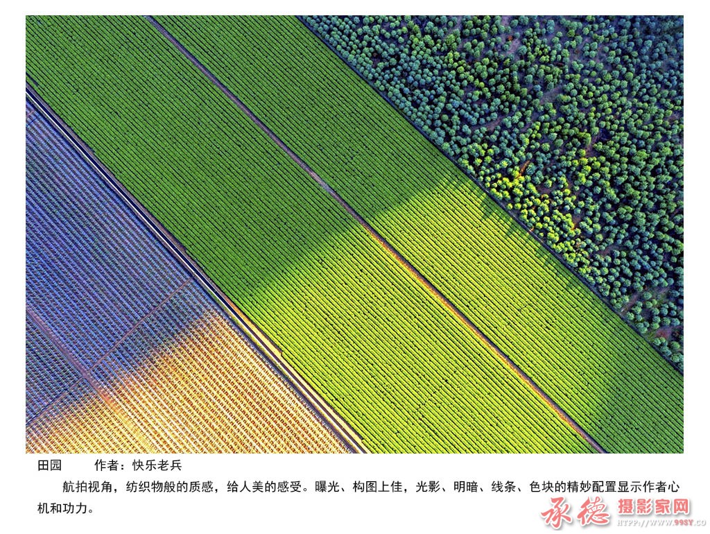 8月份赛结果--3.jpg