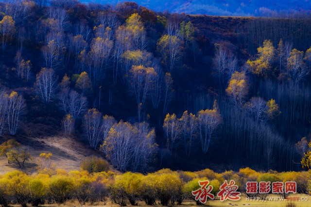 DSC_8348副本.jpg