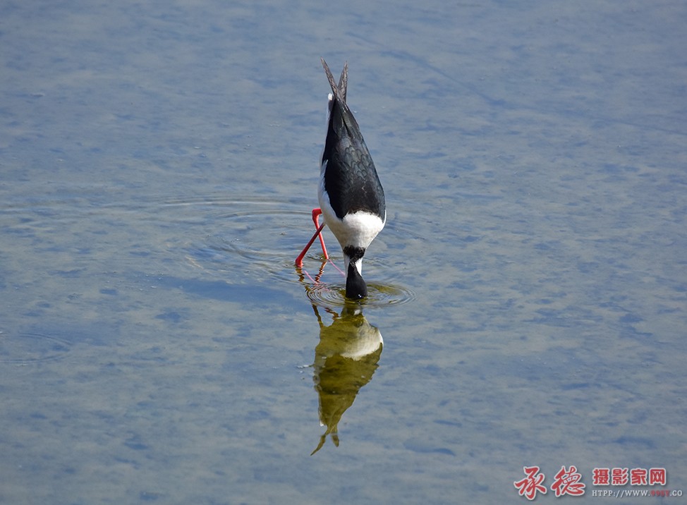 专注