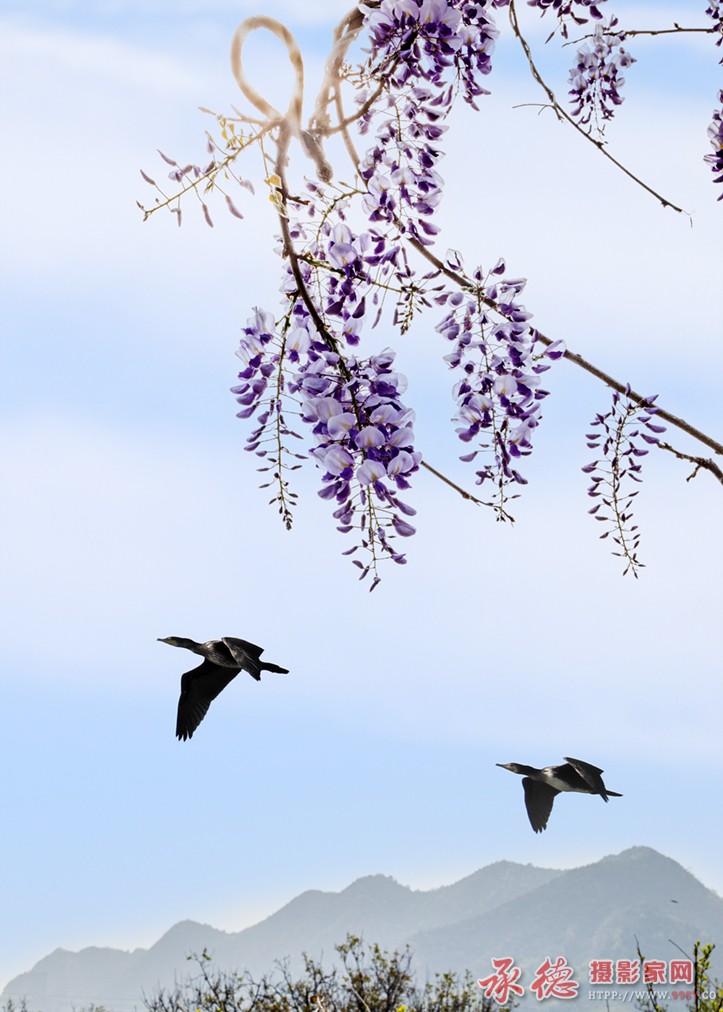 晓春
