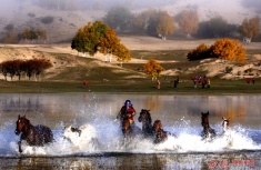 水中奔马扬鞭急