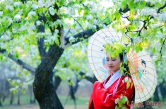 醉花阴