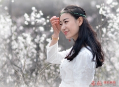 桃花白