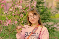 人面桃花
