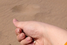 指尖的沙