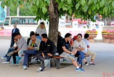 大树底下好乘凉