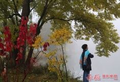 在水一方