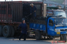 又要准备过冬啦