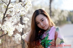 梨花丽影