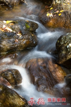 水韵秋声