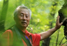人像练习