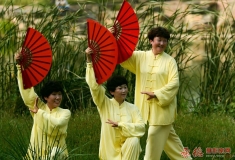 姊妹三只花