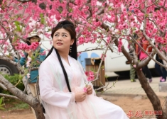 桃花仙