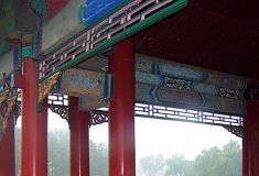 风雨母女情