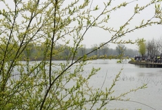 2O16人像大赛十春到人间