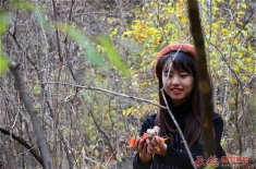 森林的小姑娘