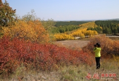 留住美好的景色