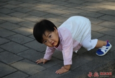 领略自然风光（二）