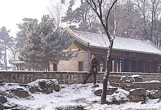 赏雪景