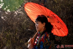 采   风  留   影