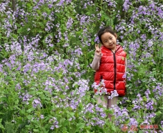 花丛中的小女孩