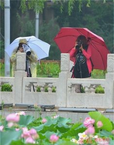 风雨丽人