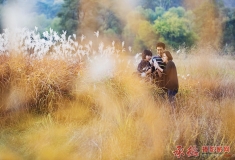 蒹葭深深情更浓