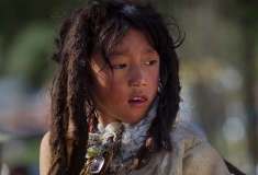 牦牛背上的少年