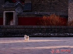斜阳