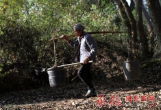 母亲的一天