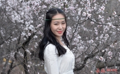 桃花白2