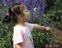妈妈  你在哪！
