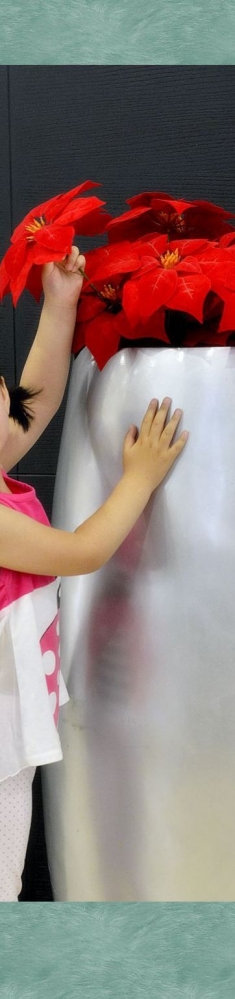 我就喜欢这一枝