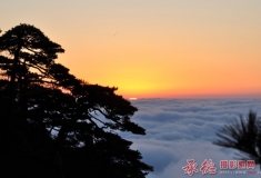 醉美--黄山云海