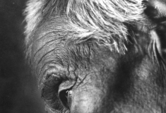 【2016大赛】《沉思》+范瑞明+13673247529