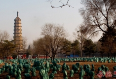 ：【2016人像摄影大赛】+朝拜