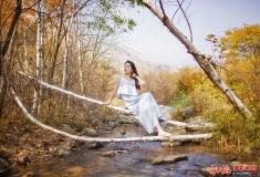 总版主评析-2015-——67        寻求人与自然的和谐