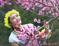 桃花人像