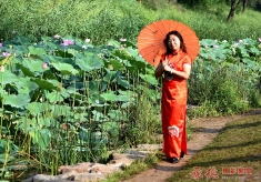 荷塘边上的旗袍女