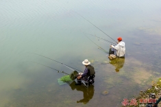 钓鱼