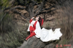 侠义