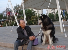 老人与狗
