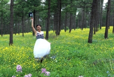 山花烂漫的季节