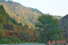 【大招旅游杯】森林、温泉秋季摄影大赛、远山的呼唤