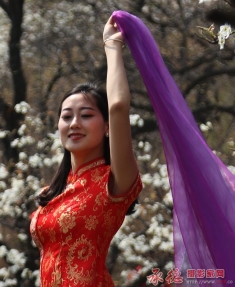 春的使者