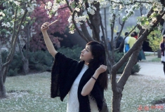 花溪抓拍一张两图